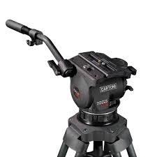 cartoni focus ud